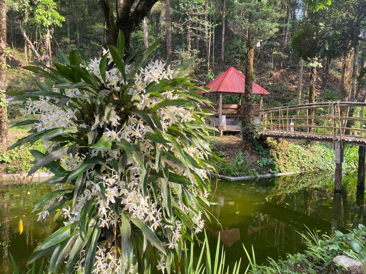 Bloomfield Farmhouse And Eco-Resort Darjeeling  Exterior photo