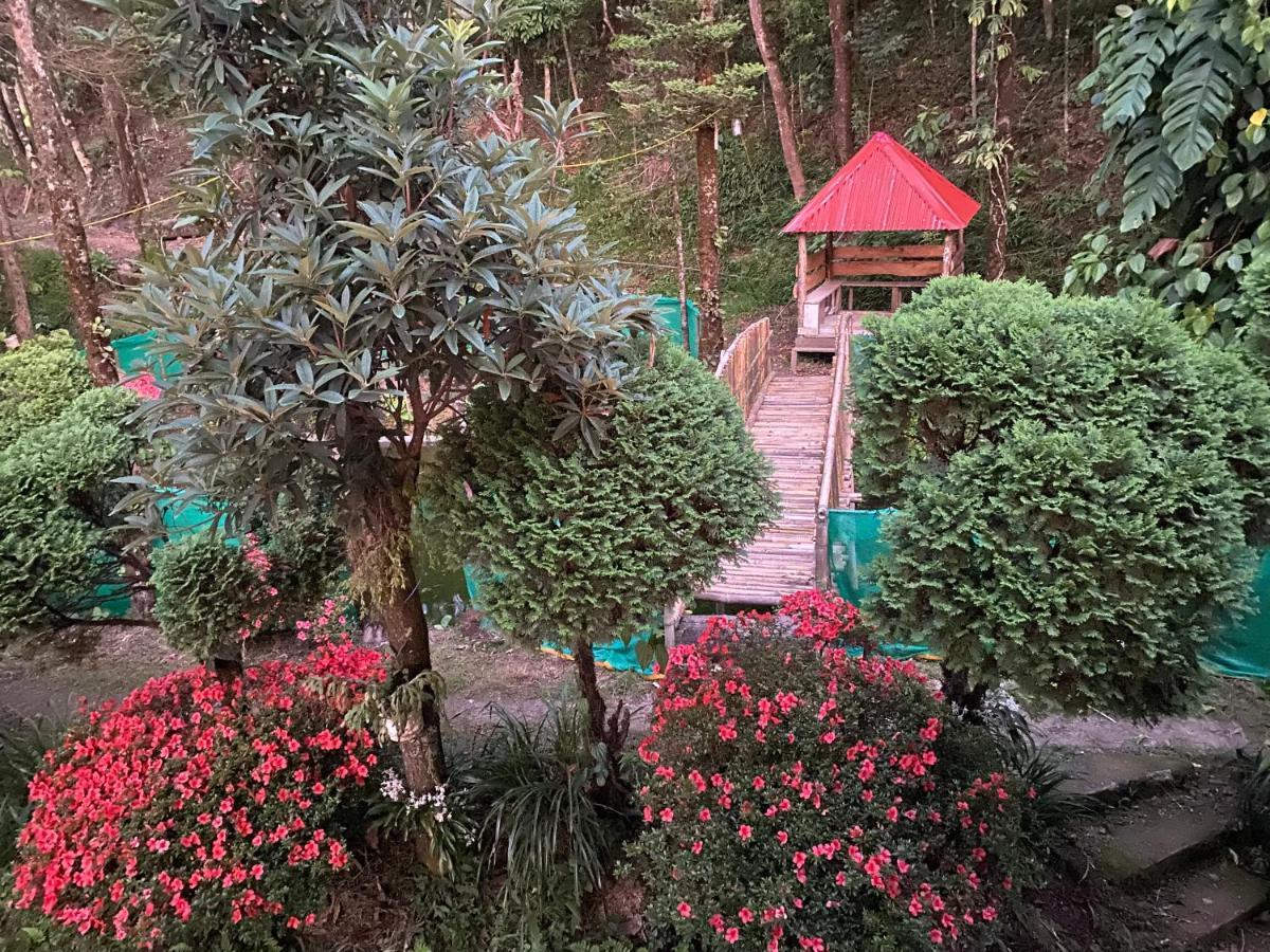 Bloomfield Farmhouse And Eco-Resort Darjeeling  Exterior photo